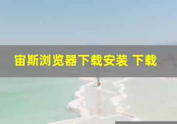 宙斯浏览器下载安装 下载